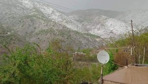 Elazığ'da kayısıyı dolu vurdu