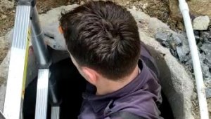 Elazığ'da su kuyusuna düşen yavru kediyi itfaiye kurtardı