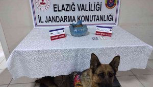 Elazığ'da uyuşturucu operasyonu: 1 gözaltı