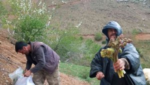 Elazığ'da zorlu ışkın mesaisi sürüyor