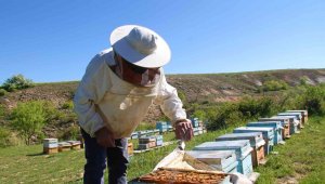 Yağışlar arıcıları da sevindirdi, rekoltede yükseliş bekleniyor