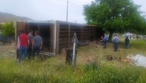 Elazığ'da hayvan yüklü tır yan yattı, 170 hayvan telef oldu