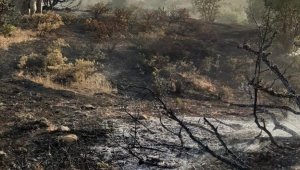 Elazığ'da ormanlık alanda çıkan yangın büyümeden söndürüldü