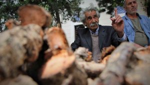 Elazığ'da şifa deposu olarak bilinen ışkın otu kökü tezgahtaki yerini aldı