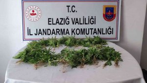 Elazığ'da uyuşturucu operasyonu