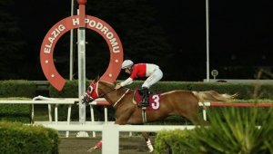 Mustafa Ergin Koşusu'nu, Oğlum Kayra kazandı