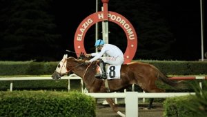 Elazığ Belediye Başkanlığı Koşusu Silver Cloud'un