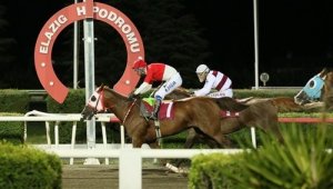 Elazığ İl Tarım ve Orman Müdürlüğü Koşusu'nu Yutangirdap kazandı