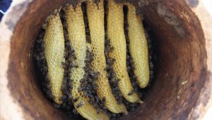 Toprak kovanda üretilen bal büyük ilgi görüyor