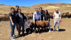 Elazığ'da 187 yetiştiriciye bugüne kadar 18 milyon 638 bin lira destek verildi