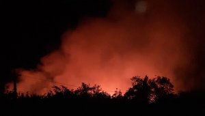 Elazığ'daki orman yangınına yönelik müdahale sürüyor