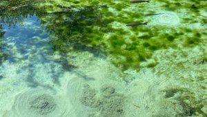 Şehrin ortasındaki gizemli Dipsiz Göl, görenleri hem şaşırtıyor hem de büyülüyor