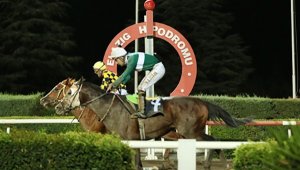 Elazığ Üzüm Festivali Koşusu'nu Yıldızkıran kazandı