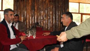 Kedi kahvehanenin maskotu oldu