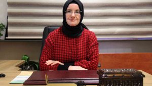 Doç. Dr. Tartar , "Antibiyotikler, ağrı kesici ve ateş düşürücü değildir"