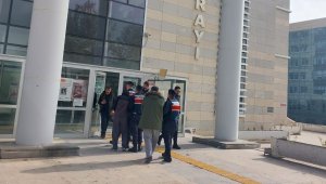 Elazığ'da bir köyü soyan hırsızlar, jandarmaya yakalandı