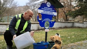 Elazığ Belediyesi, sokak hayvanlarını yalnız bırakmıyor
