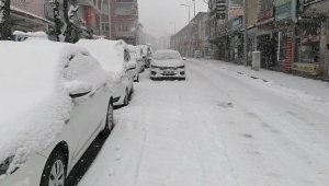 Elazığ'ın ilçelerinde kar yağışı etkili oldu