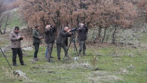 Karakoçan'da yaban keçisi envanter çalışması yapıldı