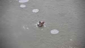 Meteorolojiden buzlanma ve don uyarısı