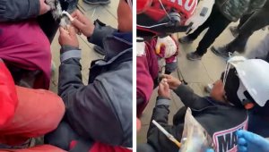 10 katlı binanın enkazından kurtarılan kediye serum taktılar