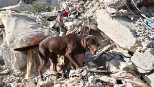 'Ateş' yürek ısıtmak için çalışıyor