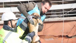 6 katlı bina enkazından sağ çıktı, depremzede kadın sahiplendi