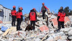 75 yaşındaki beyin cerrahı enkaz altında aranıyor