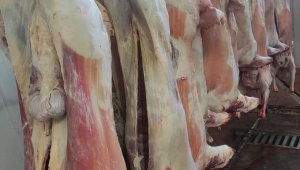 89 küçükbaş hayvan kesilerek afet bölgesine gönderildi