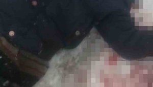 Aksaray'da alacak verecek davası kanlı bitti: 1 ölü