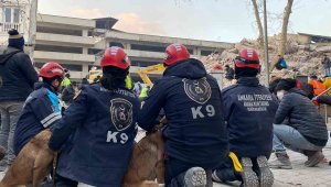 Ankara'nın kahraman patileri 28 kişinin hayatını kurtardı