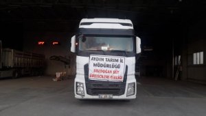 Antepli depremzede hayvancılara Aydın'dan 20 ton yem desteği