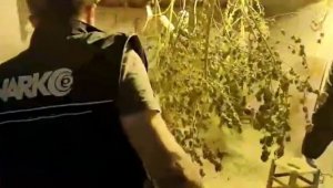 Aydın'da uyuşturucu satıcısı tutuklandı