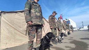 Azerbaycan'ın 'hassas burunlu' arama kurtarma köpekleri deprem bölgesinde