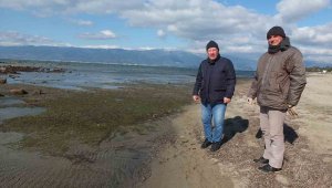 Balıkesir'de deniz çekildi, 2 bin 500 yıllık antik liman ortaya çıktı