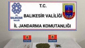 Balıkesir'de jandarmadan 35 şüpheliye gözaltı