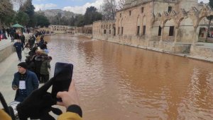 Balıklıgöl suyu deprem sonrası çamur rengine büründü