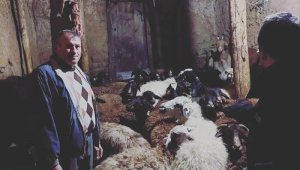 Bayburtlu besiciler ahırlarındaki hayvanlarını depremzedeler için bağışlıyor