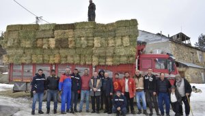 Bayburtlu çiftçilerin deprem bölgesine yem desteği devam ediyor
