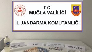 Bodrum'da uyuşturucu operasyonu