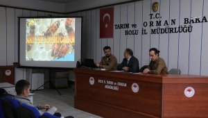 Bolu'da arıcılık kursu başladı