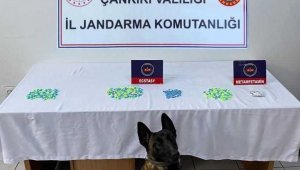 Çankırı'da uyuşturucu operasyonunda bir şahıs tutuklandı