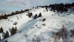 Deprem Berit Dağı'nda da yarılmalara neden oldu