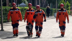 Depremzede köpek 'Hayat', yeni hayatlar kurtaracak