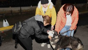 Depremzede köpek Bella İstanbul'da yeni ailesine kavuştu