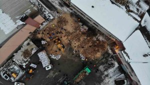 Depremzedelerin yakacak odun ihtiyacını karşılamak için Gümüşhane halkı seferber oldu