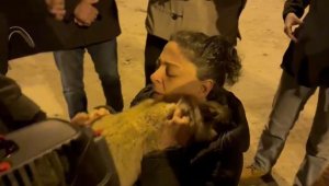 Diyarbakır'da 17 gündür enkazda olan 2 kedi kurtarıldı