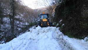 Doğu Karadeniz'de kar nedeniyle kapalı 110 köy yolu bulunuyor
