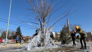 Donan ağaçlar kartpostallık görüntü oluşturdu