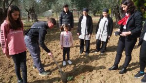 Edremit'te depremzedeler, konakladıkları otelin bahçesine zeytin fidanı dikti